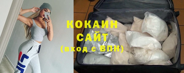 индика Белокуриха