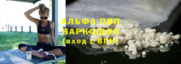индика Белокуриха