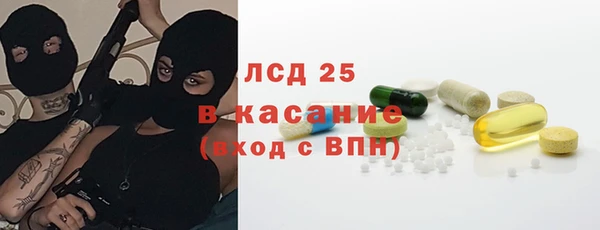 индика Белокуриха