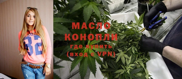 индика Белокуриха
