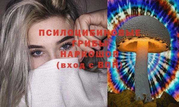 прущие крисы Белоозёрский