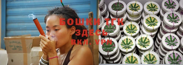 индика Белокуриха