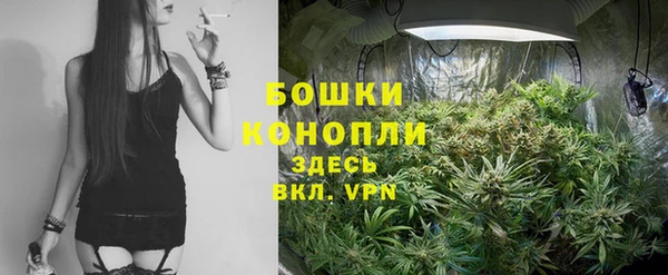 индика Белокуриха