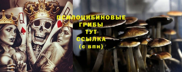 прущие крисы Белоозёрский
