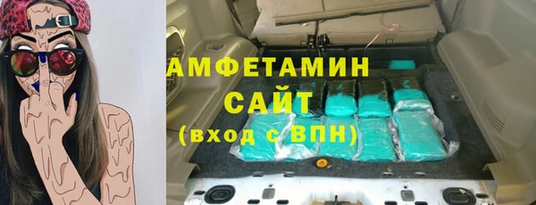 индика Белокуриха