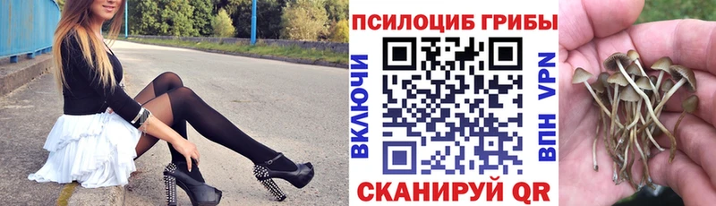 Галлюциногенные грибы мухоморы  Купить где  Судак 
